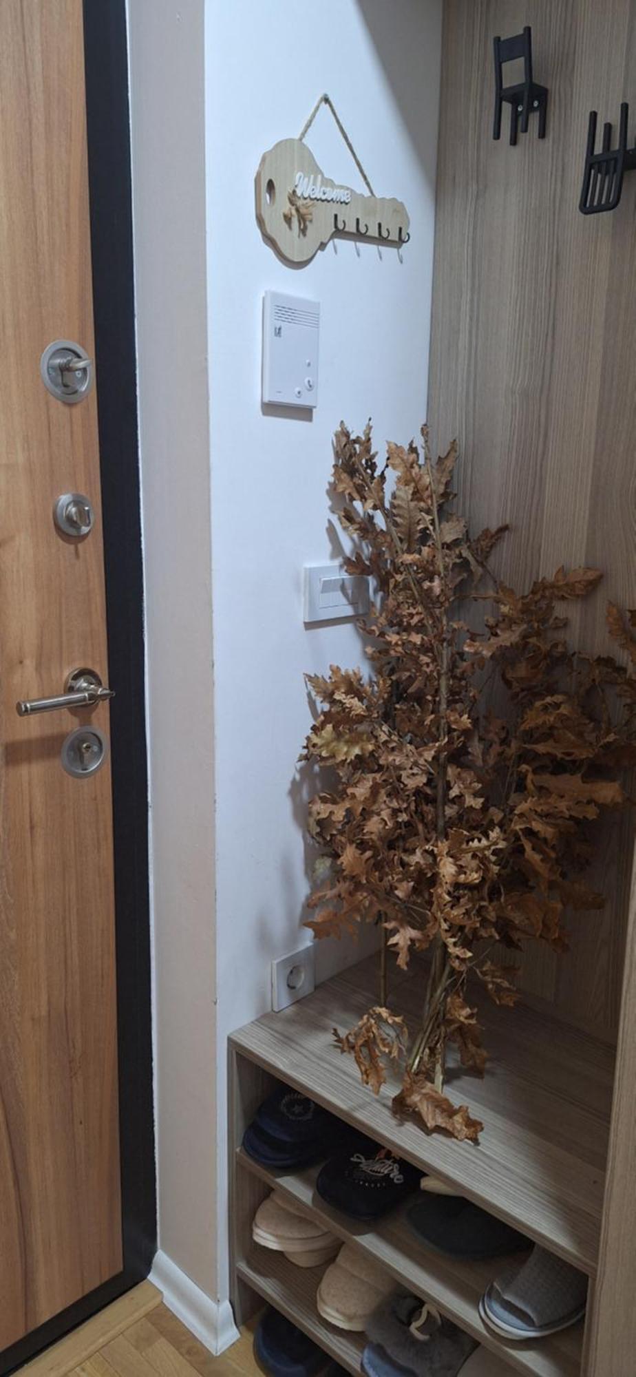 Silver Star زلاتيبور المظهر الخارجي الصورة